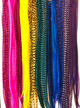 photo of feather hair extensions
