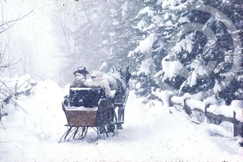 Photo of a horse sleigh in winter