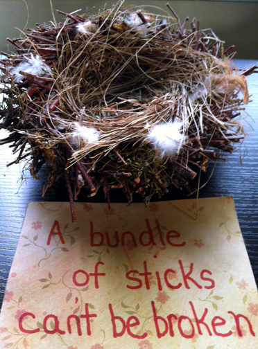 Photo of a Bundle of Sticks Can't Be Broken